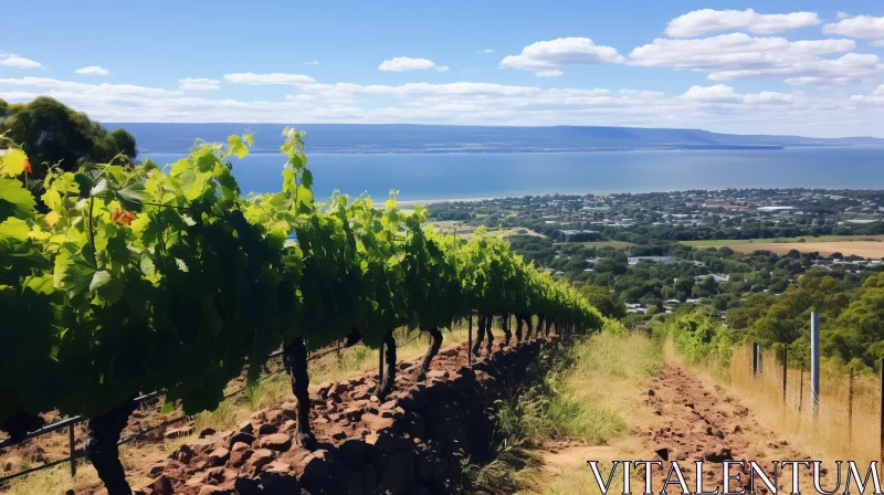 AI ART Captivating Vineyards: A Trail of Beauty and Serenity