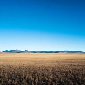 Open Field Landscape with Blue Sky