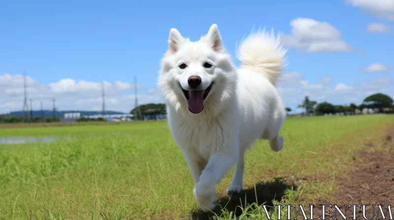 Energetic White Dog Running in Grassy Field under Blue Sky AI Image