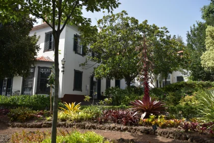 Lush Madeira Garden Scene