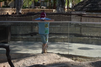 Young Explorer at Zoo Enclosure