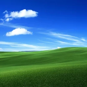 Lush Green Field and Blue Sky