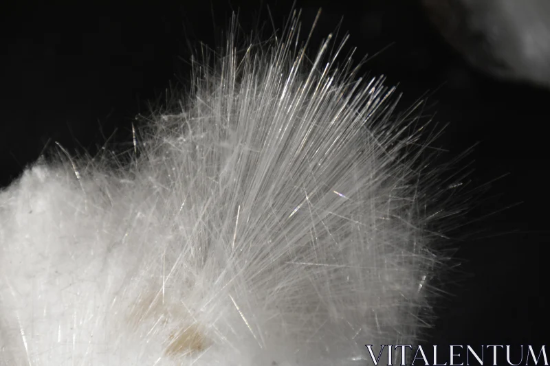 PHOTO White Needle-Like Mineral Formation