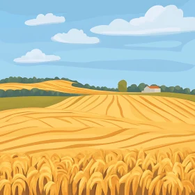 Harvested Wheat Field Landscape