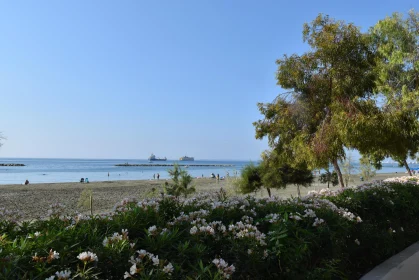 Tranquil Limassol Seaside View