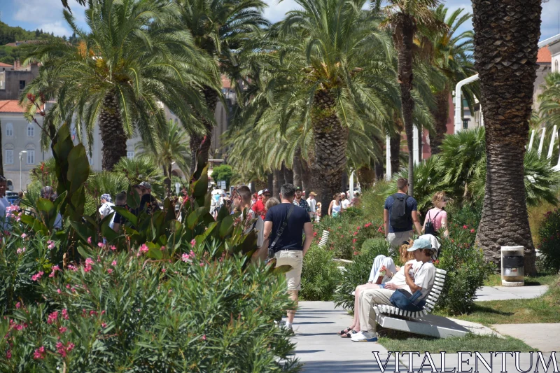 PHOTO Urban Promenade with People and Palm Trees