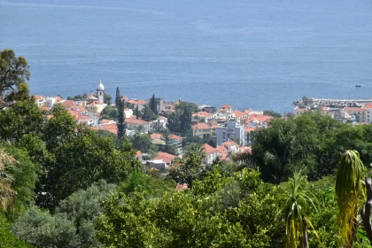 Charming Madeira Coastal Village View