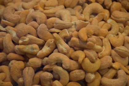 Golden Cashew Nut Image