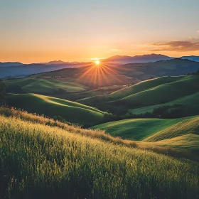 Tranquil Sunset in the Green Valley