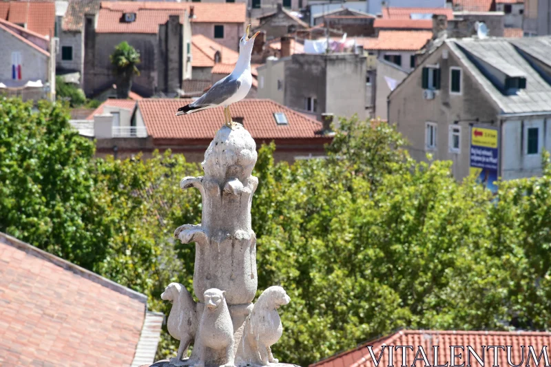 Seagull and Stone Sculpture Overlooking Rooftops Free Stock Photo