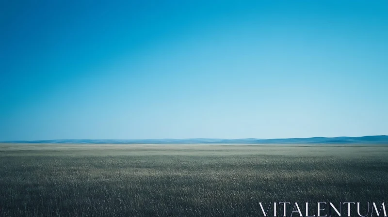 Open Field Landscape with Blue Sky AI Image