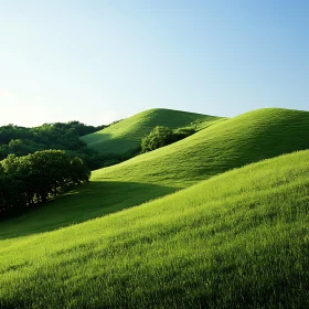 Rolling Hills and Green Meadow