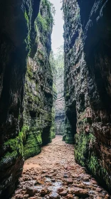 Moss-Covered Gorge with Rocky Pathway