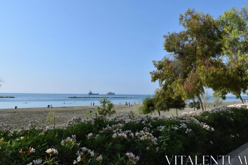 Tranquil Limassol Seaside View Free Stock Photo