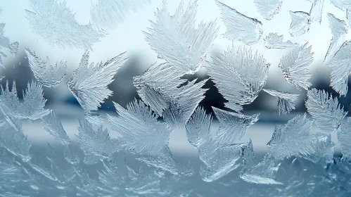 Delicate Ice Crystals Forming Leaf Shapes