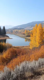 Tranquil Fall River Scenery