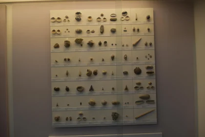 Extensive Fossil Exhibit