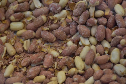 Peanut Shells and Nuts Detail