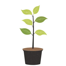 Green Leaves in Pot