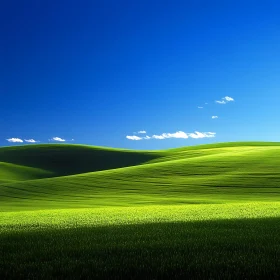 Rolling Green Field Under Azure Sky