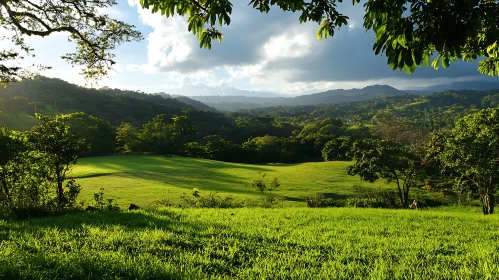 Scenic Landscape with Green Field