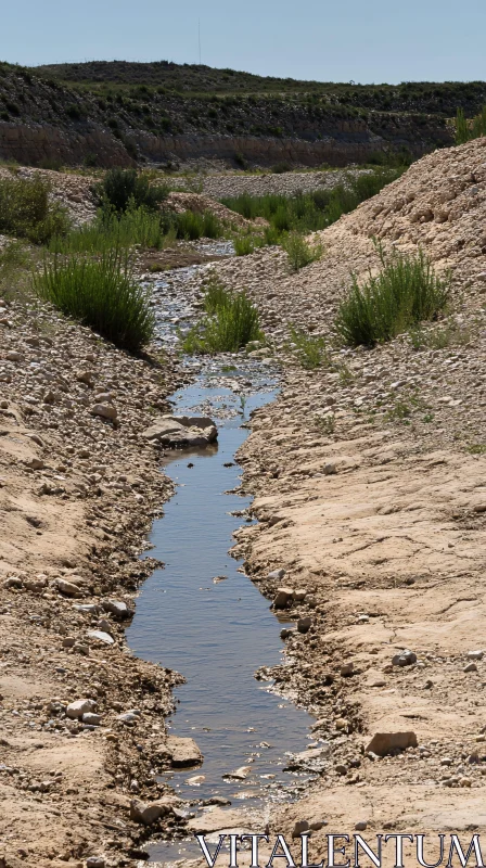 AI ART Parched Lands with a Meandering Stream