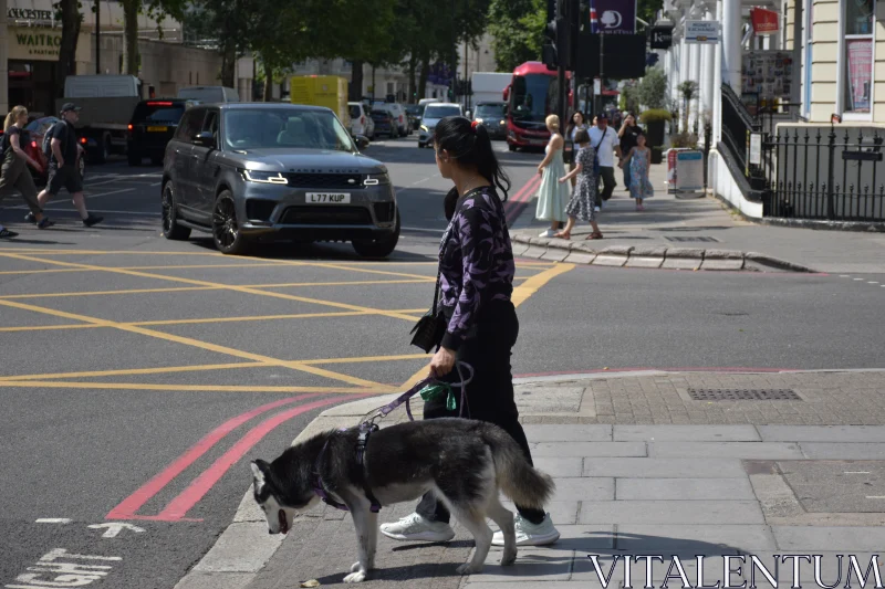 Urban Crosswalk Snapshot Free Stock Photo