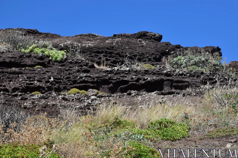 Contrasting Volcanic Terrain Free Stock Photo