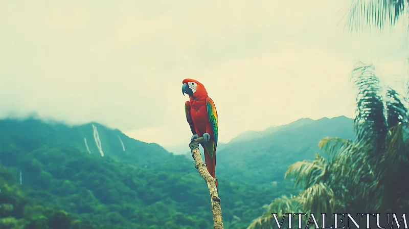 AI ART Tropical Bird on Mountain Overlook