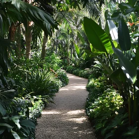 Tranquil Garden Path