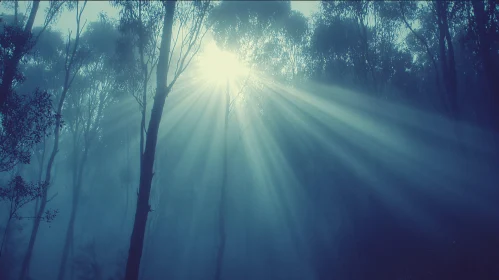 Mystical Forest Sunbeam Light