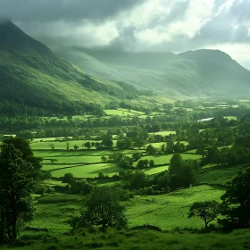 Tranquil Green Valley Vista