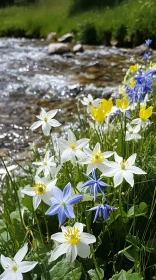 Blooming Wildflowers by the Stream