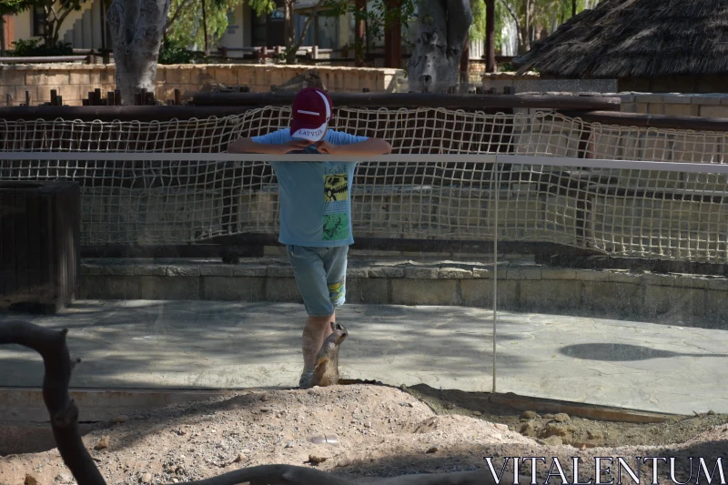 PHOTO Young Explorer at Zoo Enclosure