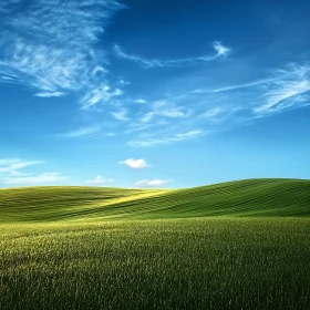 Serene Green Landscape with Blue Sky