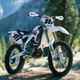 Off-Road Motorcycle in Natural Setting