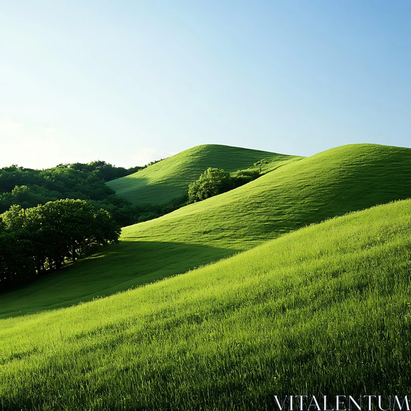 Rolling Hills and Green Meadow AI Image