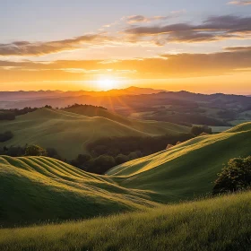 Tranquil Morning Landscape