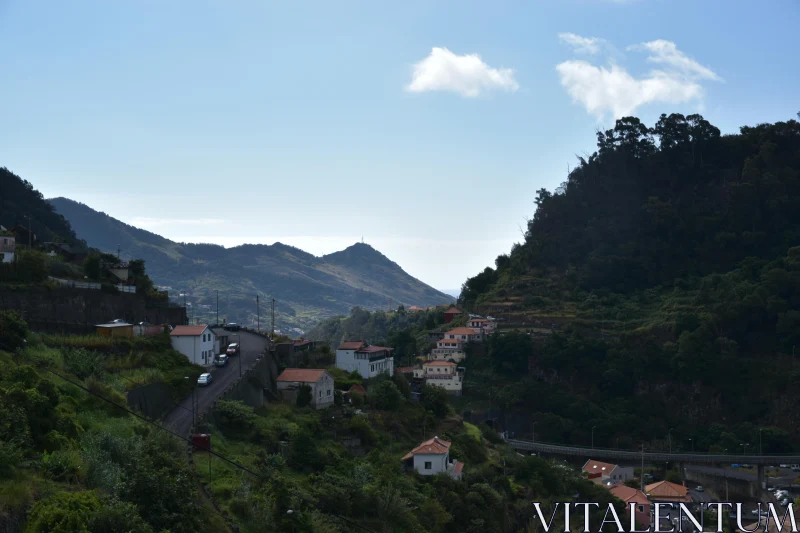 Picturesque Hillside in Madeira Free Stock Photo