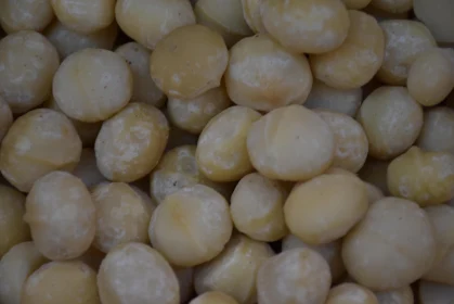 Detailed Texture of Macadamia Nuts