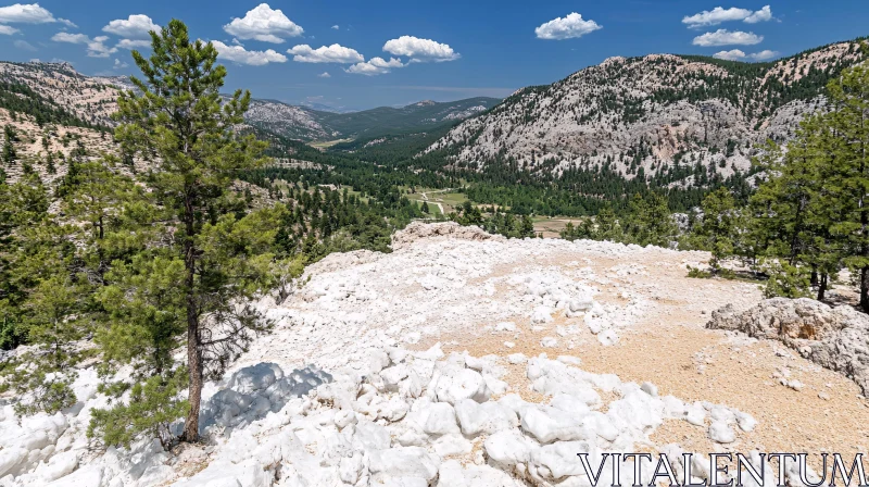 Mountain View with Pine Trees and Rocky Terrain AI Image