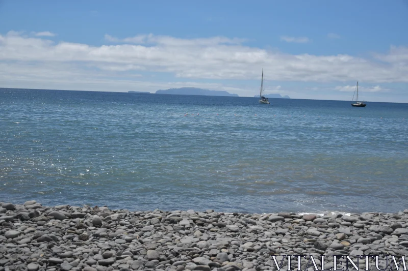 PHOTO Peaceful Ocean Scene with Sailboats