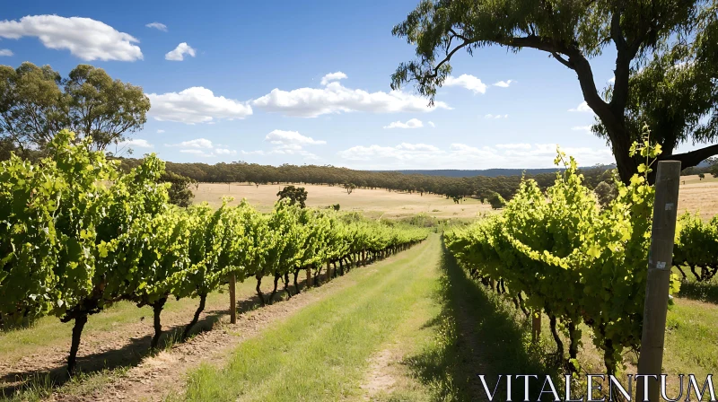 Vineyard Vista: Rows of Green Under Sky AI Image