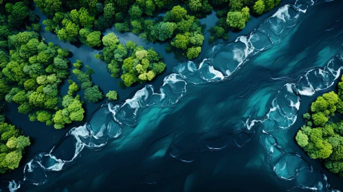 Captivating Aerial View of Green Trees and Water in 8k Resolution