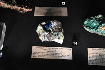 Geological Mineral Specimen Showcase