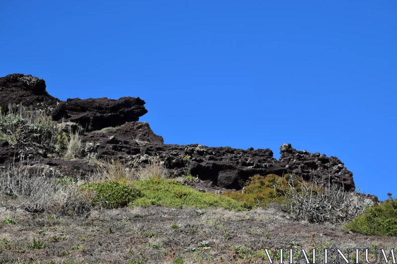 PHOTO Geological Landscape with Eroded Cliffs