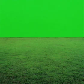 Vibrant Green Landscape