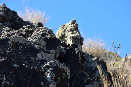 Textured Rock Landscape