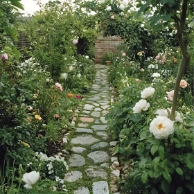 Picturesque Stone Path Through Rose Garden