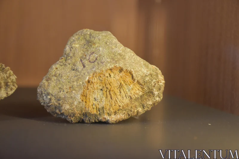 Intricate Texture of a Mineral Specimen Free Stock Photo